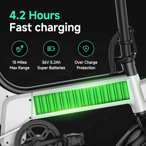 TST Folding Electric Bike, Electric Bicycle 450W Peak Motor, Ebike 16MPH,Up to 15 Miles, 12" Pneumatic Tires for Better Driving Experience, Adjustable Seat and Dual Fenders