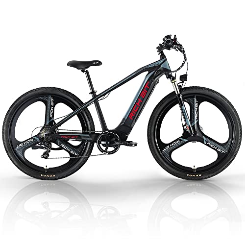 eECO-FLYING Electric Bikes for Adults,29inch Fat Tire electric mountain bicycle,500w 48v hidden in The frame Removable Battery E Bike