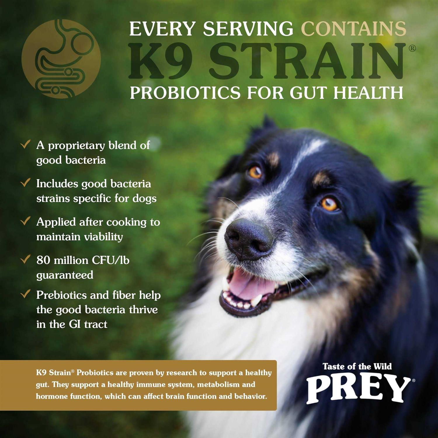 Taste of the Wild Dog Food Prey Trout - Pet Supplies online store