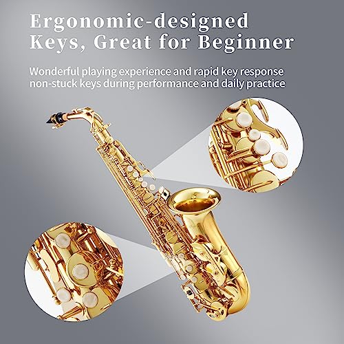 LeSage Alto Saxphone E Flat Black Saxophone for Beginners Student Alto Sax With Carrying Sax Case Adult Saxofon Alto Saxaphone Music Instrument