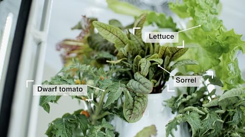 Indoor Hydroponic Growing System 2.0 – Grow 27 Lettuce, Vegetable, Herb & Fruiting Plants | includes Grow Tent, 150W LED Grow Lights, Fan & Wheels for Indoor Gardening