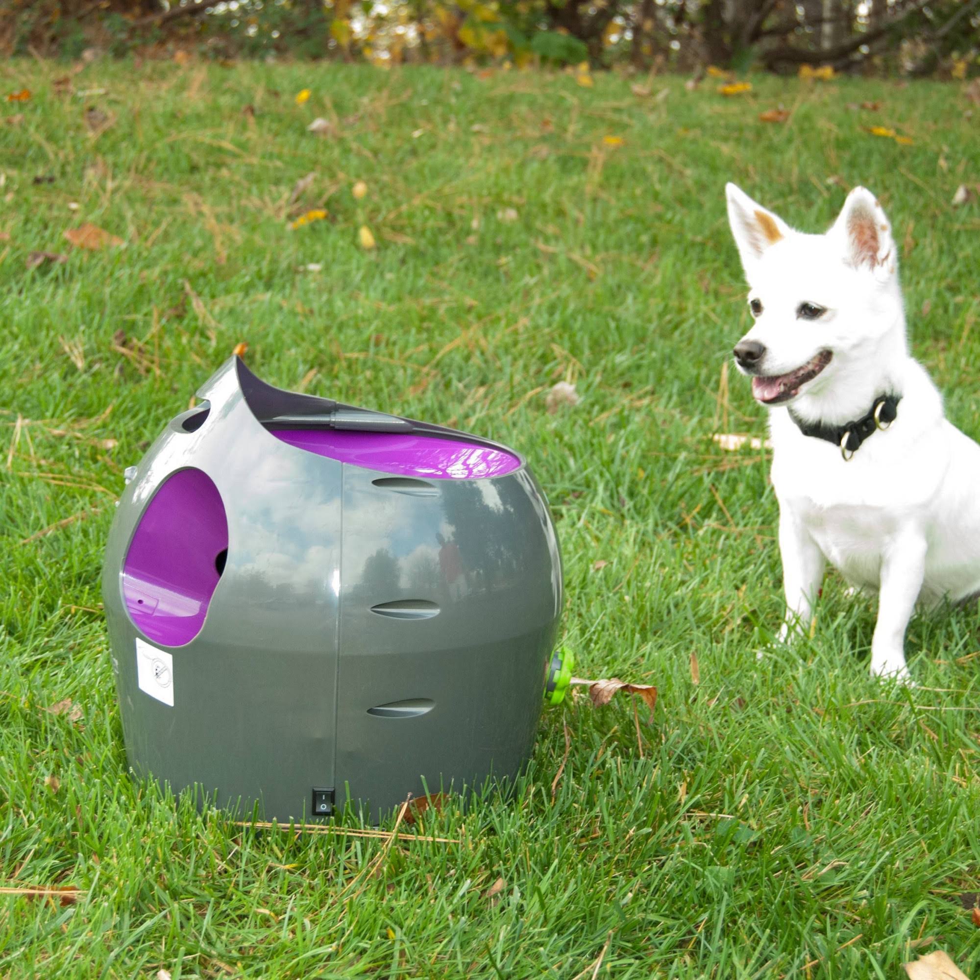 PetSafe - Automatic Ball Launcher