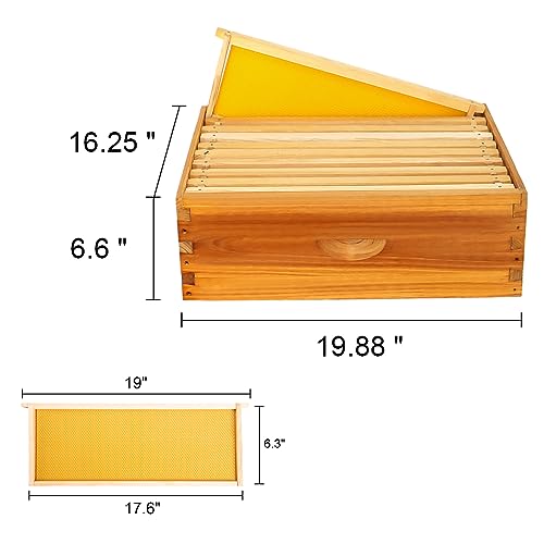 Honey Lake 10 Frame Bee Hive Starter Kit, Complete Beehive Kit for Beekeepers Dipped in 100% Beeswax Includes 1 Deep Brood Box & 1 Medium Super Bee Box with Beehive Frames and Waxed Foundation Sheet
