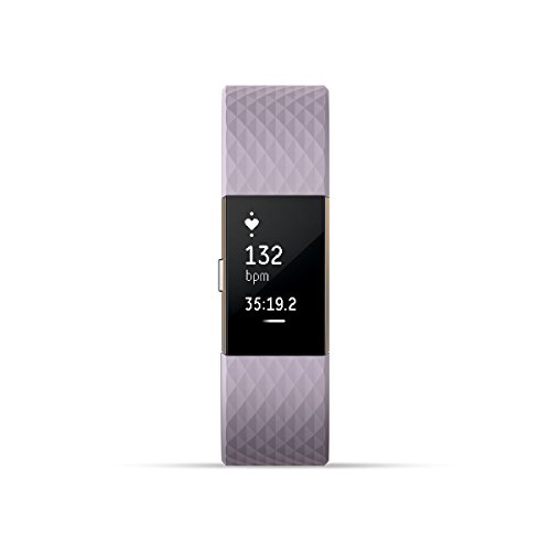 Fitbit Charge 2 Heart Rate + Fitness Wristband (Renewed)