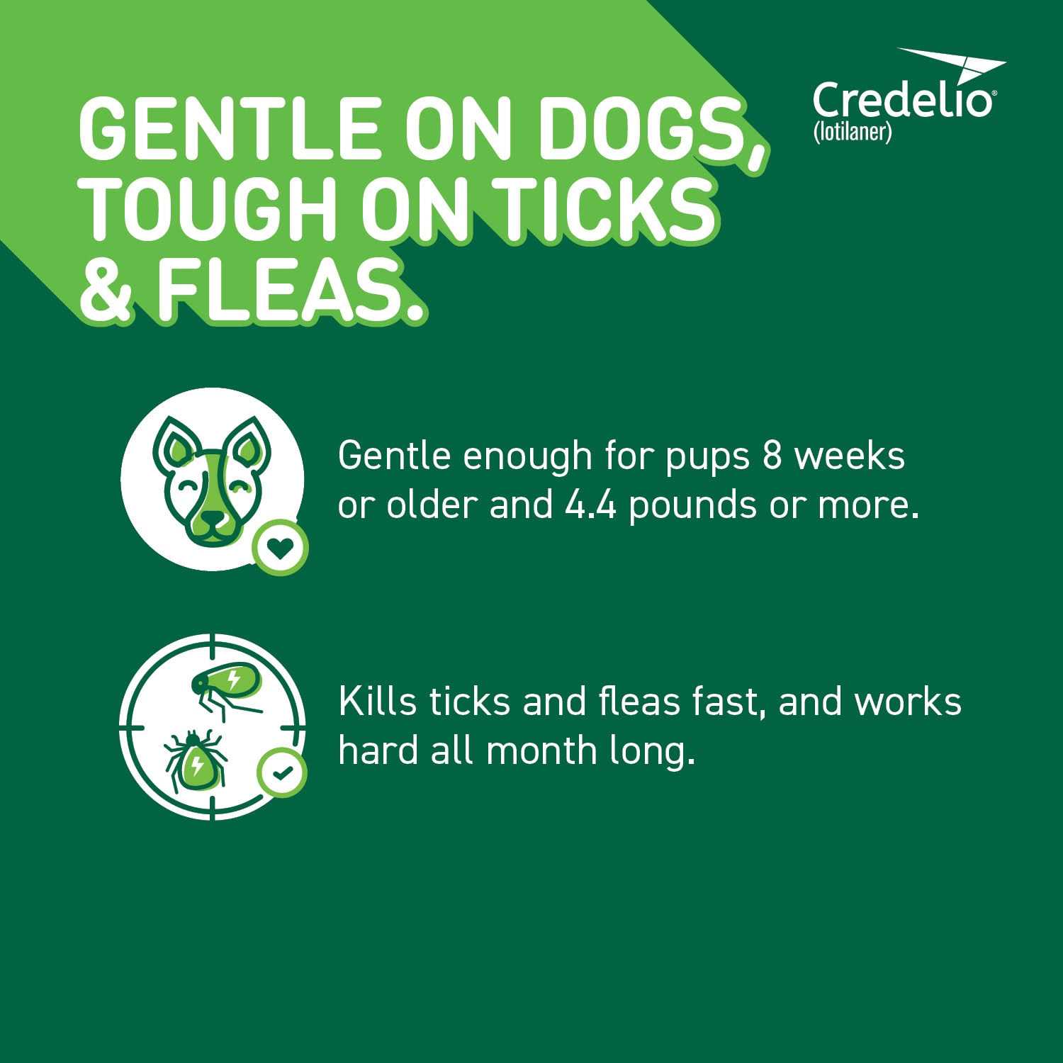 Credelio Chewable Tablet for Dogs 25.1-50 lbs - Pet Supplies online store
