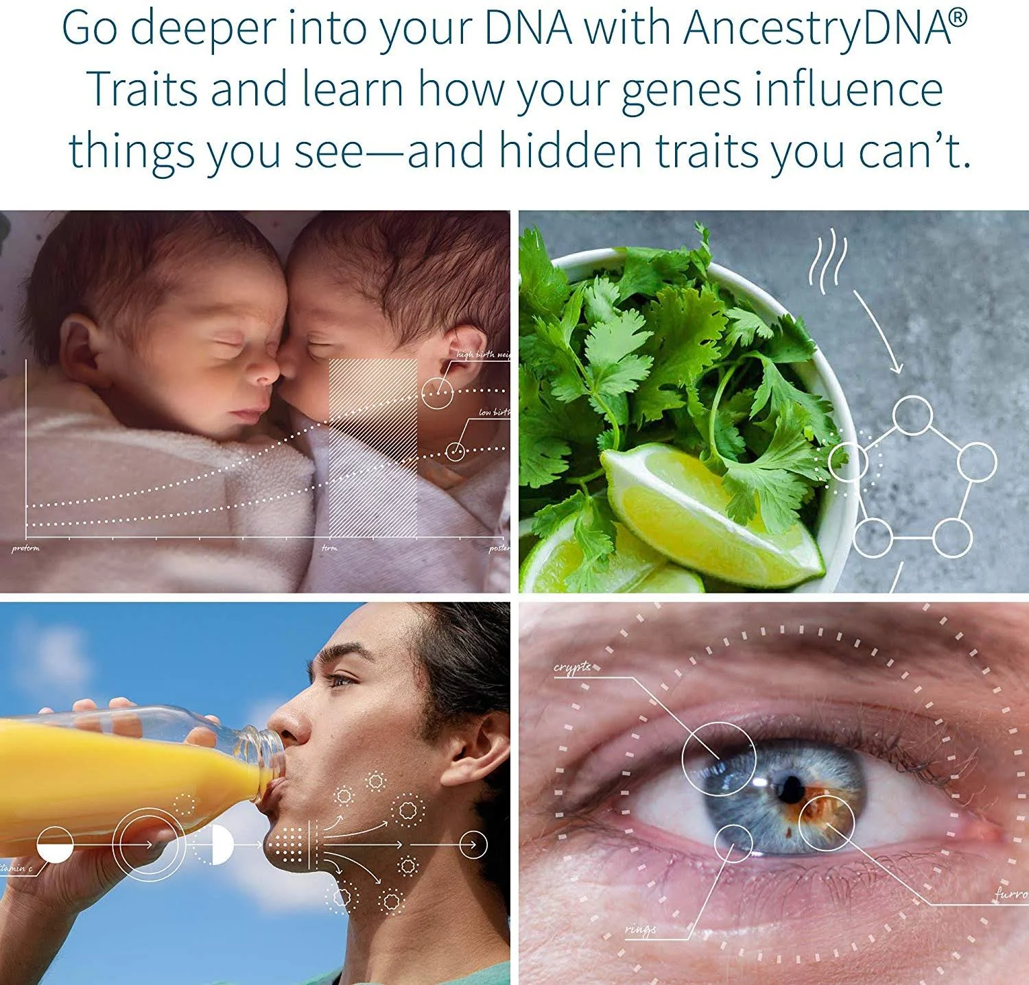 AncestryDNA: Genetic Ethnicity + Traits Test