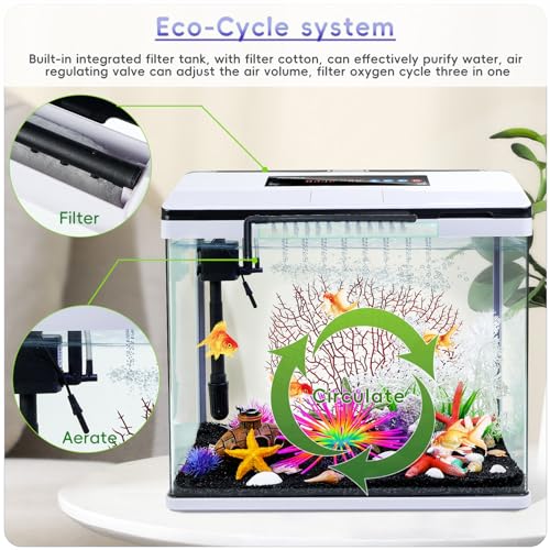 10 Gallon Glass Aquarium Fish Tank Starter Kit with Temperature and Time Display for Betta Fish Featuring Crystal Clear 360° Viewing, Eco-Cycle Filtration, Air Pump