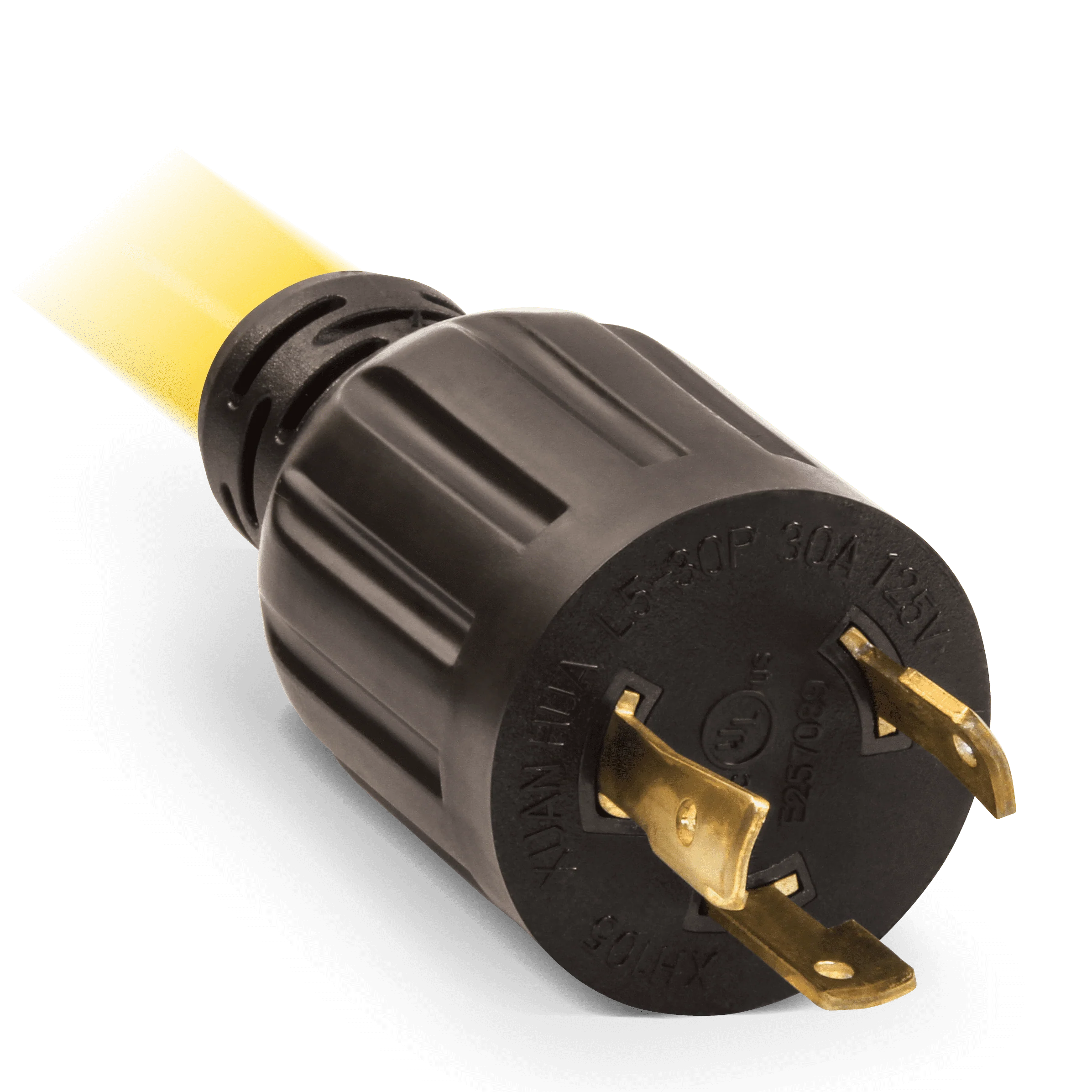 Champion Power Equipment 25-Foot 30-Amp 125-Volt Fan-Style Generator Extension Cord (L5-30P to Three 5-15R)
