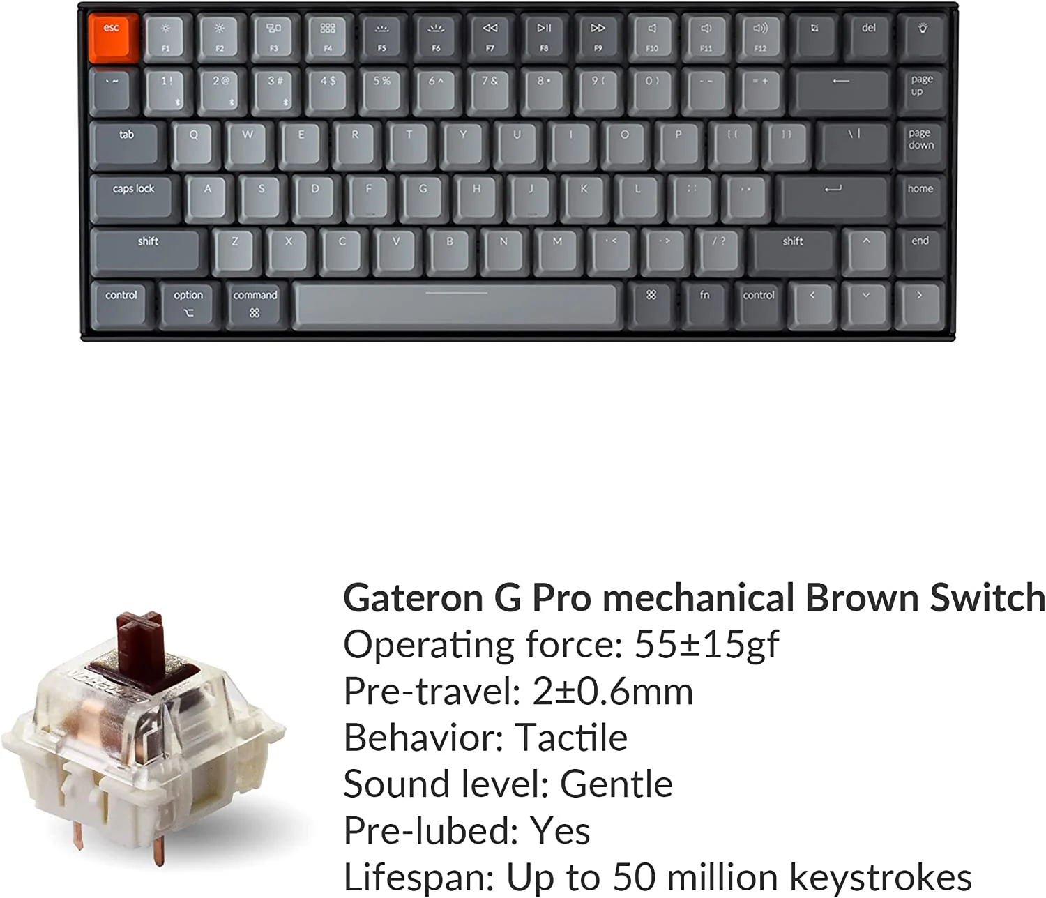 Keychron K2 - Version 2 - keyboard - backlit - wireless - USB, Bluetooth 5.1 - key switch: Gateron G Pro Brown