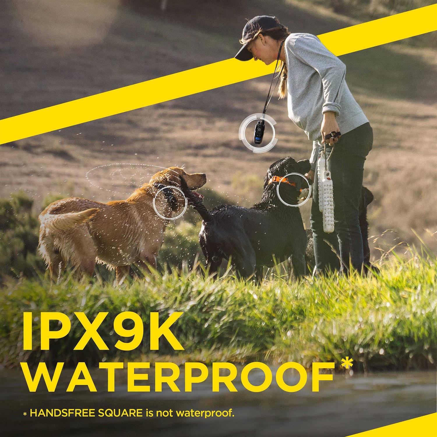 Dogtra 1900S Handsfree Plus - Pet Supplies online store