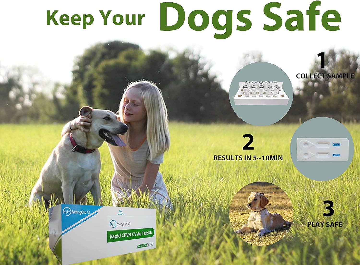 MONGGO Q Rapid Ag Detection of Canine Mouth and Nose Secretions Testing Kit for Dogs(Pack of 10)