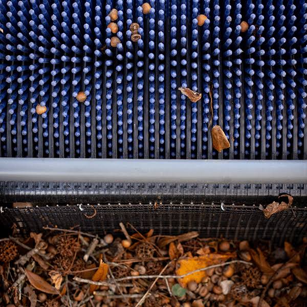 Bag-A-Nut Small Acorn Picker Upper - 36x22 Push Collector