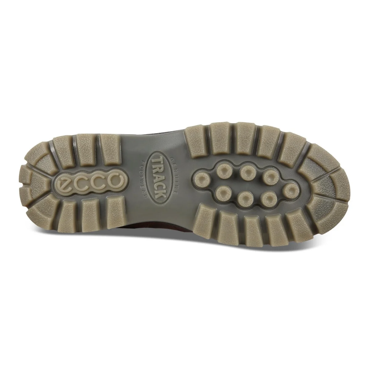 ECCO Men's Track 25 Low GORE-TEX Waterproof Bison/Bison - 831714-52600