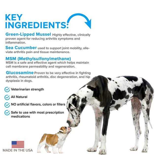 VetSmart Formulas Advanced Hip + Joint Complex with MSM and Green-Lipped Mussel for Dogs - Pet Supplies online store