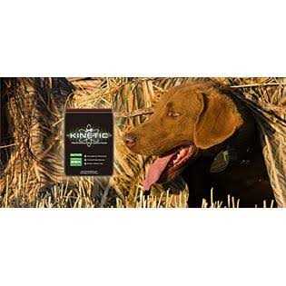 Kinetic Performance Active 26K Formula Dry Dog Food - Pet Supplies online store