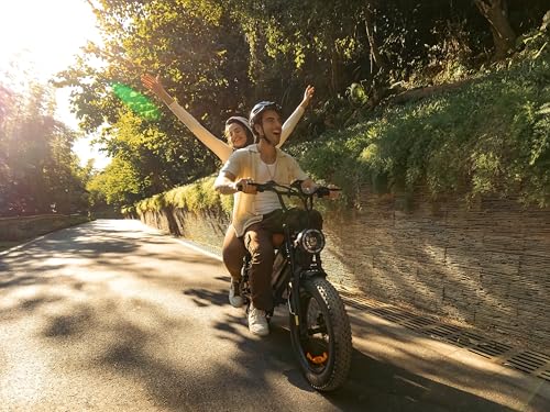 Electric Bike for Adults, Peak 1000W Ebike, 28MPH 60Miles Electric Mountain Bike, 20" Fat Tire Adult Electric Bicycle with 48V 18.2AH Battery, Dual Shock, 7 Speed, Hydraulic Suspension, Turn Signal