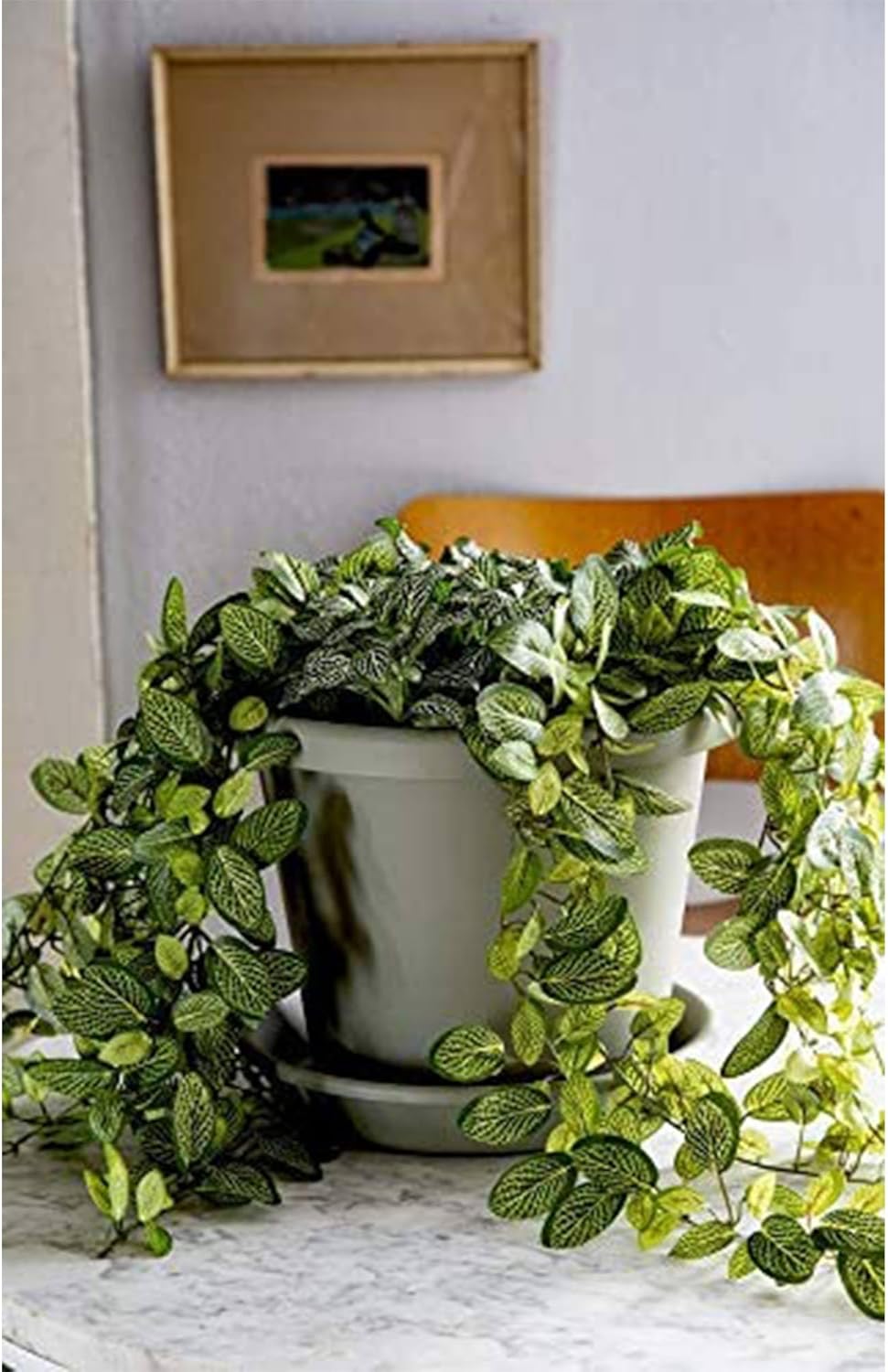 The HC Companies 24 Inch Indoor and Outdoor Classic Durable Plastic Flower Pot Container Garden Planter with Drainage Holes, Slate Blue (4 Pack)