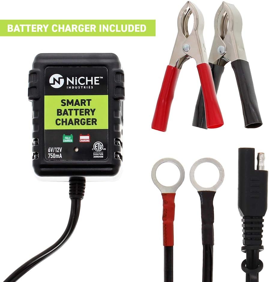 NICHE Battery for YTX14AH-BS AGM Sealed Maintenance Free 210CCA 12V Self Activated ATV UTV Motorcycle for Honda Yamaha