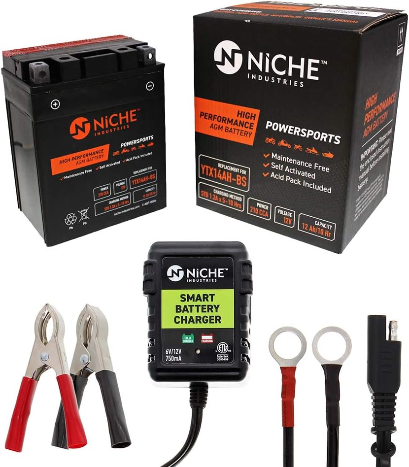 NICHE Battery for YTX14AH-BS AGM Sealed Maintenance Free 210CCA 12V Self Activated ATV UTV Motorcycle for Honda Yamaha