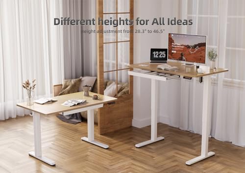 Standing Desk with Drawers, 48 x 24 Inch Adjustable Height Stand Up Desk, Electric Sit Stand Computer Desk for Home Office, Rustic Brown