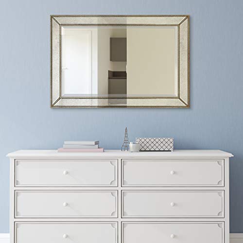 Empire Art Direct Solid Wood Frame Wall, 1"-Beveled Center Antique Mirror for Bathroom, Bedroom, Living Room, Ready to Hang, 24" x 54", Champagne