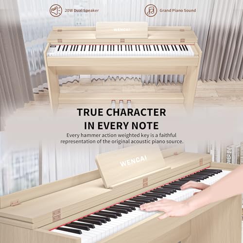 88 Key Fully Weighted Digital Piano Keyboard, 88 Keys Hammer Action Electric Pianos, Wooden Classic Upright Electronic Piano for Beginner, Professional, Midi Compatible, Triple Pedal (Black)