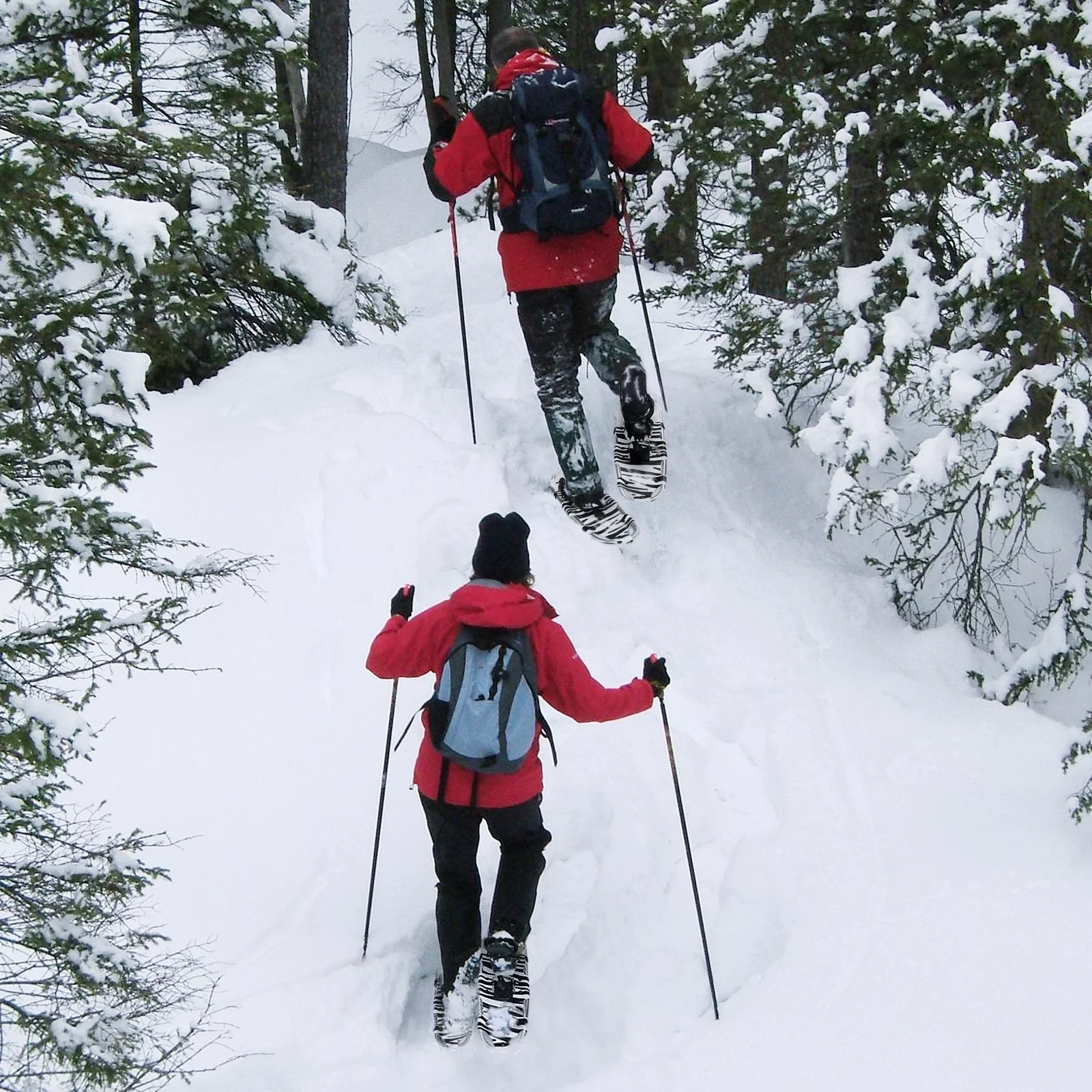 Snowshoes and 25" Snowboards Adjustable Bindings Hiking Trekking Poles Lightweight Zebra pattern Backpacking Aluminum with Carrying Tote Bag for adult