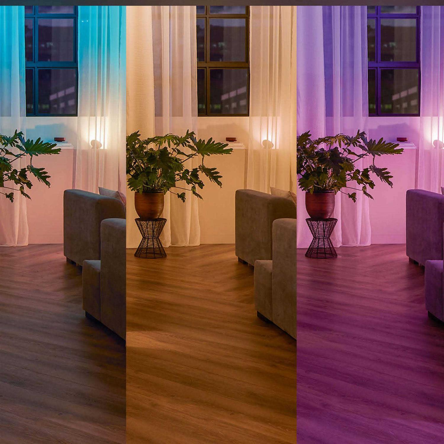 Philips 2-Pack Hue Wall Switch Module
