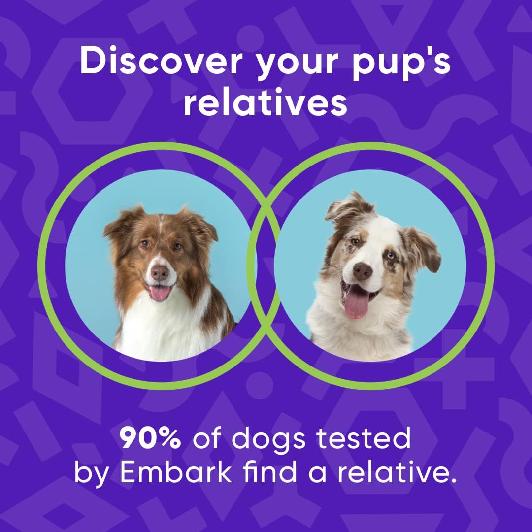Embark | Dog DNA Test | Breed Identification Kit