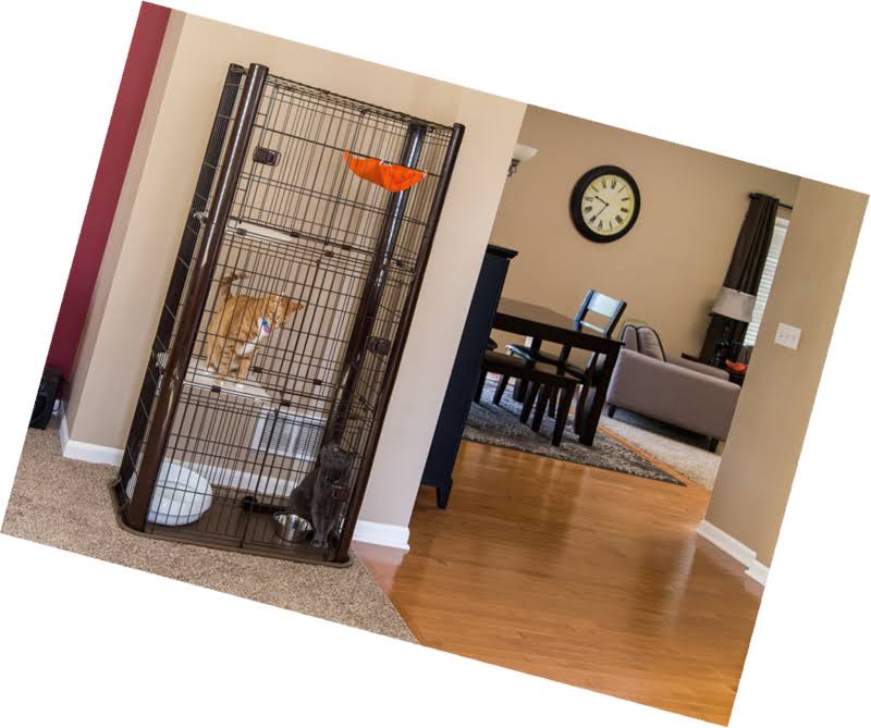 Iris 3-Tier Cat Condo, Brown
