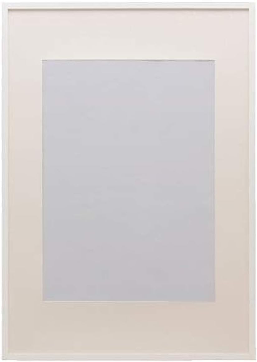 IKEA Ribba Frame White 002.688.76 Size:19 3/4x27 1/2" Pack of 2