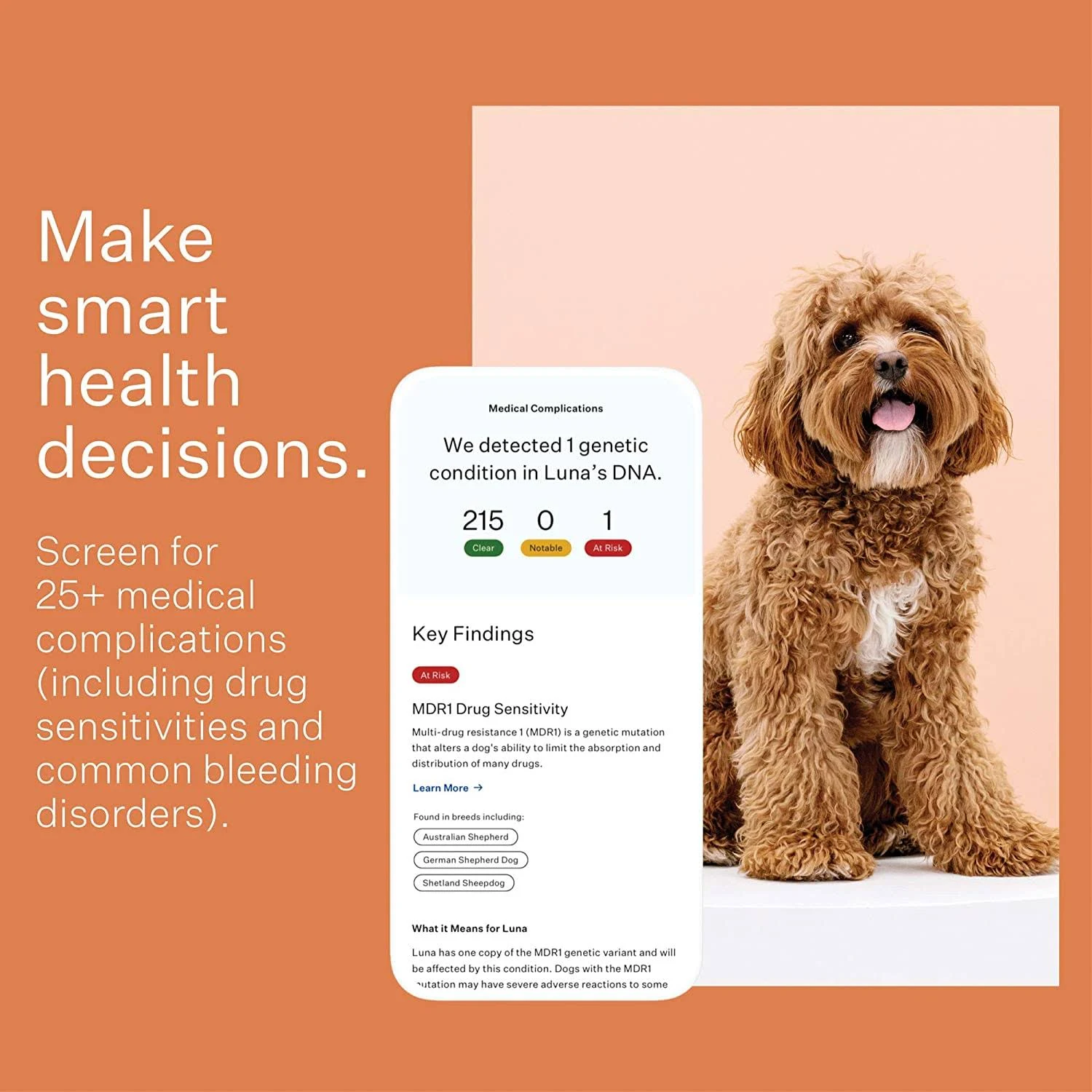 Wisdom Panel 3.0 Dog Breed Identification DNA Test Kit