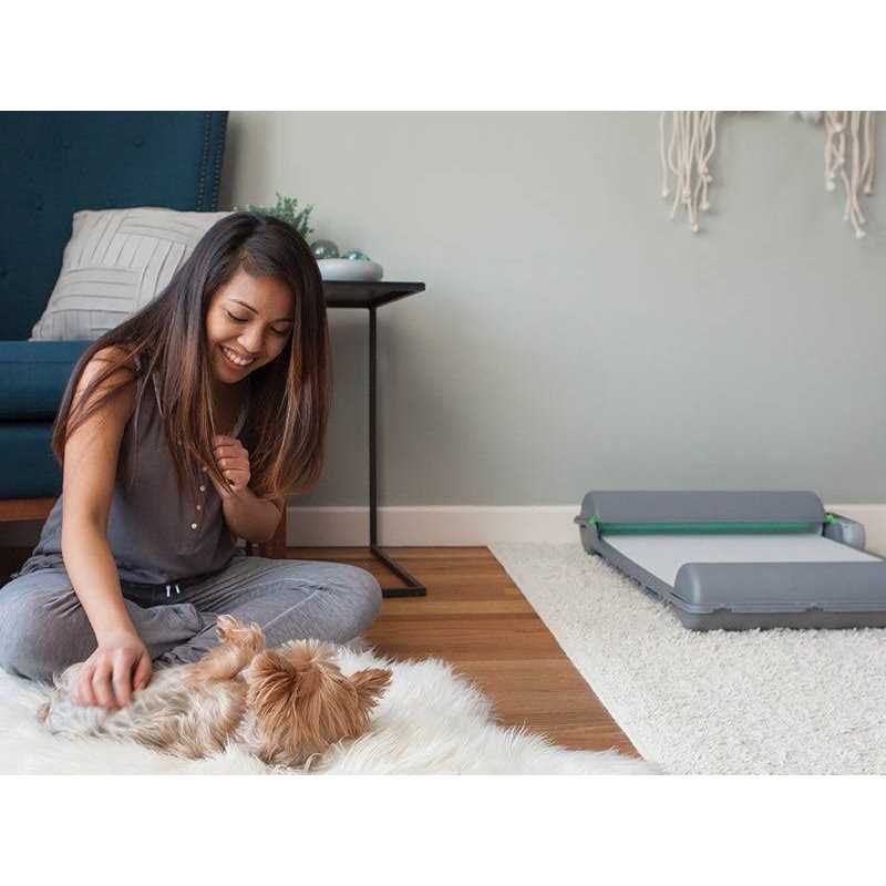 BrilliantPad Self-Cleaning, Automatic Indoor Dog Potty for Puppies and Small Dogs - Pet Supplies online store