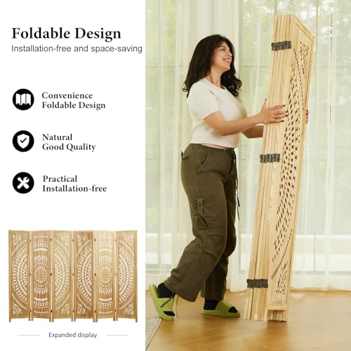 Room Divider Wood Carved Wall Divider Indoor Folding Bohemian Style Portable Partition Screen for Home Office Garden Terrace - 6 Panels (Antique, White-Washed)
