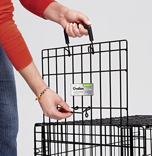 MidWest Homes for Pets Ovation Single Door Dog Crate, 42-Inch