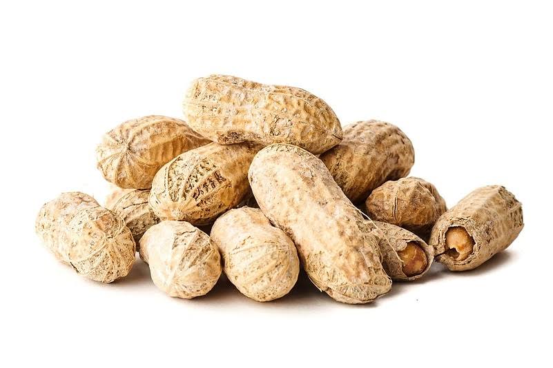 Roasted Peanuts (Salted, in Shell) - 25 Pounds - Bulk Discount