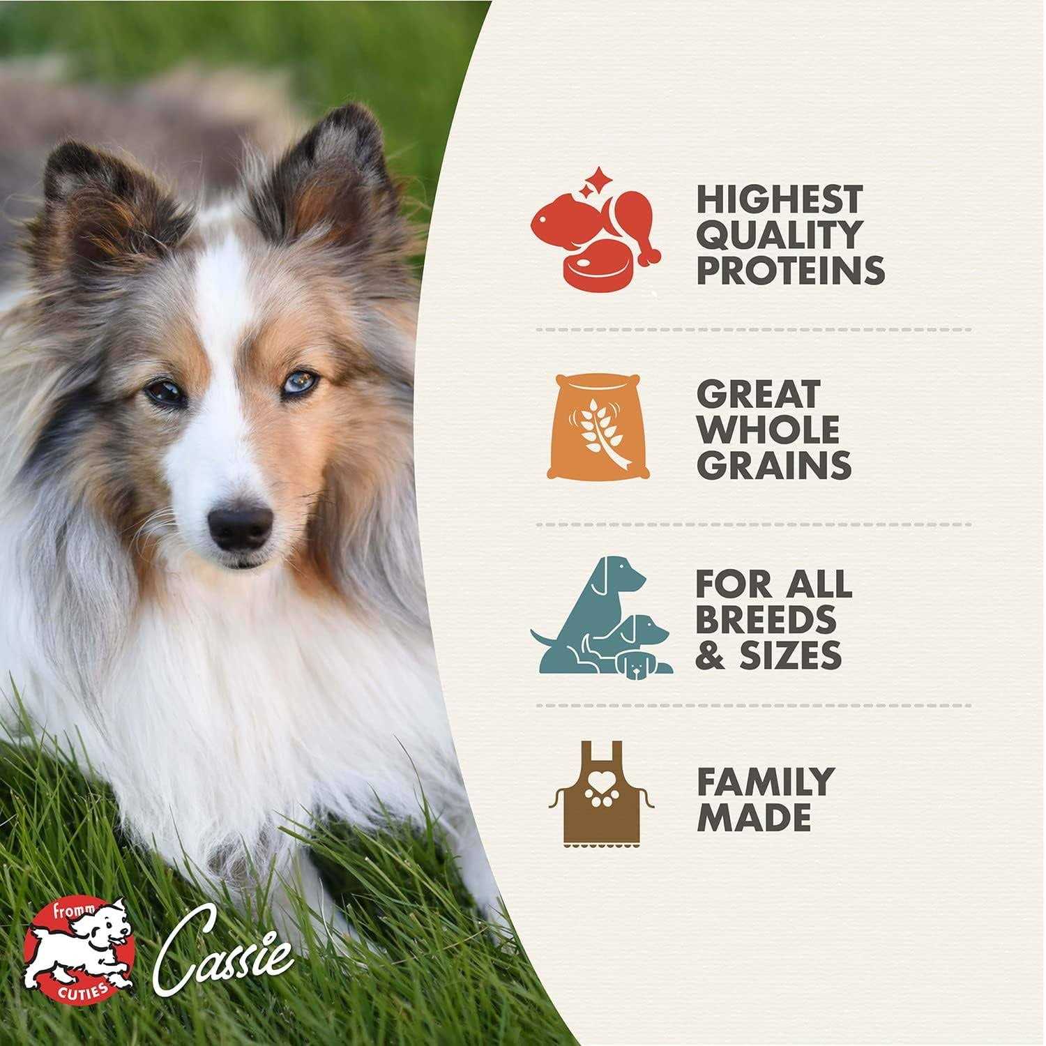 Fromm Adult Ancient Gold Dog Dry Food - Pet Supplies online store