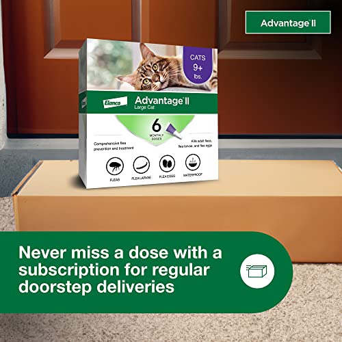 Advantage II Large Cat Vet-Recommended Flea Treatment & Prevention | Cats Over 9 lbs. | 12-Month Supply