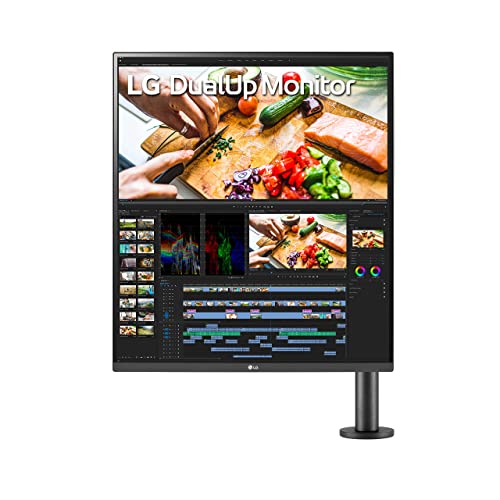 LG DualUp Monitor