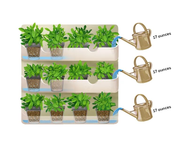 BOXSAND-12 (24"x26") Living Wall - Wall Planter, Vertical Garden for 12 Plants, Indoor/Outdoor, 2 Screws Install (White) with Black Square Pots