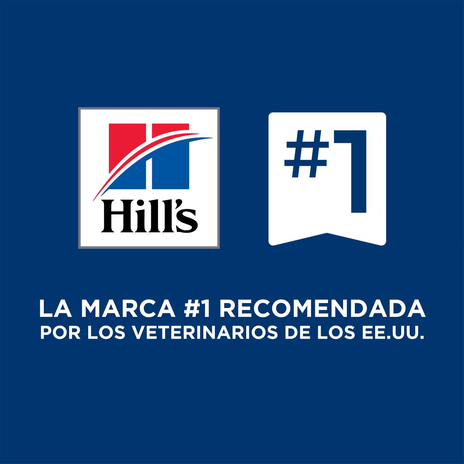 Hill&amp;s Prescription Diet Gastrointestinal Biome Digestive Fiber Care Chicken Dry Dog Food - Pet Supplies online store
