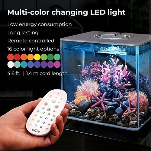 biOrb Cube 30 Acrylic 8-Gallon Aquarium with Multi-Color Remote-Controlled LED Lights Modern Compact Tank for Tabletop Display, Black