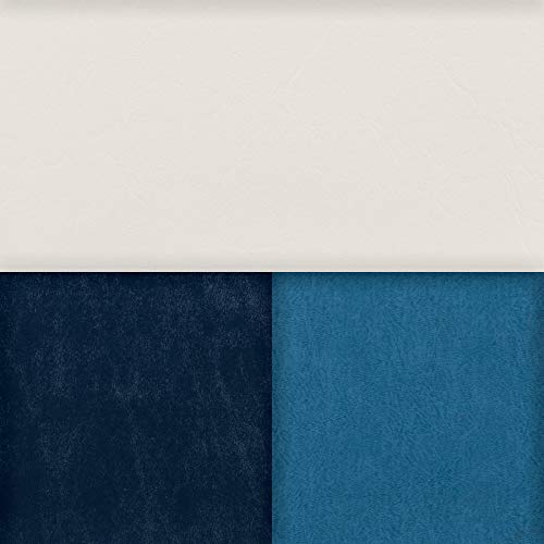 Wise 8WD100-1008 Deluxe Series 37" Pontoon Bench Seat Cushion Set (Base Required to Complete), White/Navy/Blue & 8WD110-204 Deluxe Series Pontoon Left Arm Rest, White