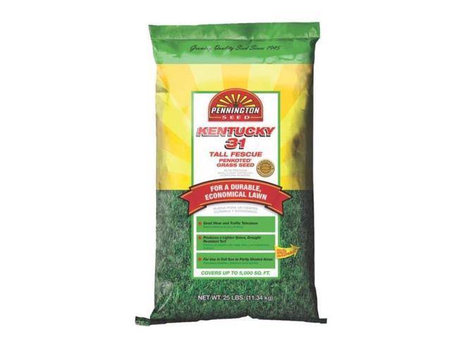 Pennington 100516055 Kentucky 31 Tall Fescue Grass Seed 25 lb