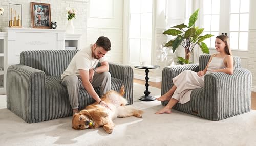 Bean Bag Chairs for Adults Large Fluffy Bean Bag Sofa Two-seat BeanBag Chair with Armrest Plush Comfy Chair with Handle Foam Loveseat for Living Room, Bedroom, Apartment, Dorms(Grey, Large)