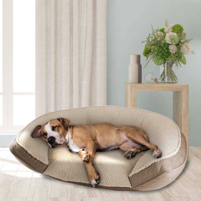 Canine Creations Arlee Step In Oval Round Cuddler Pet Dog Bed - Pet Supplies online store
