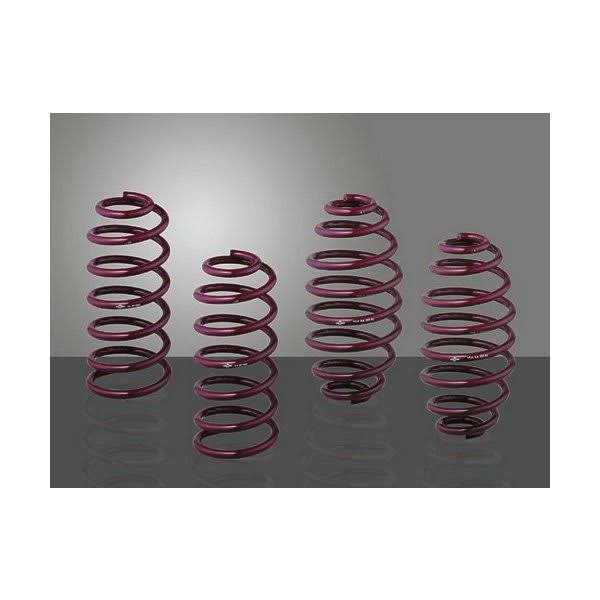 Vogtland 952085 Sport Lowering Spring Kit