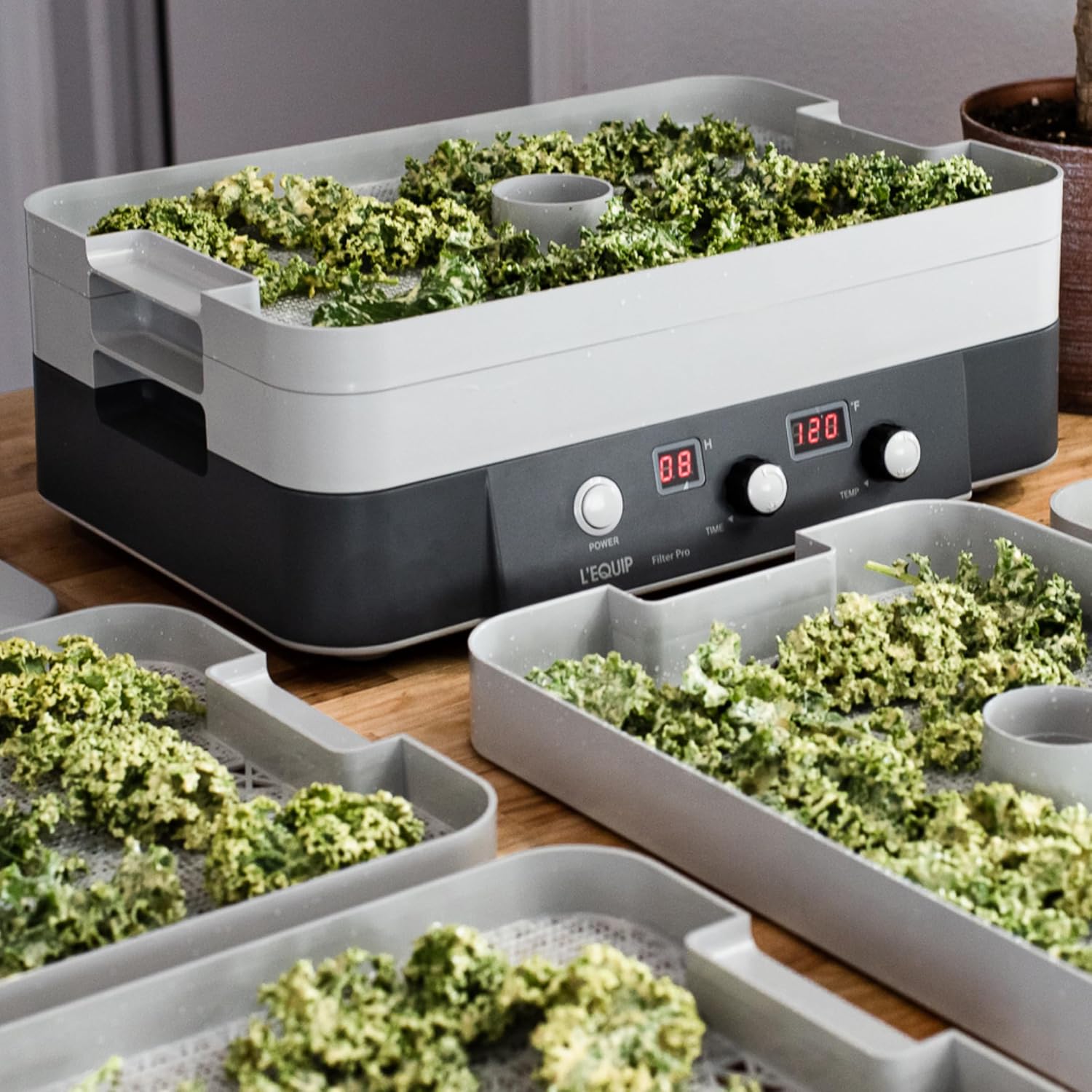 L'EQUIP FilterPro 6 Tray Food Dehydrator, Digital Temperature Control & Timer