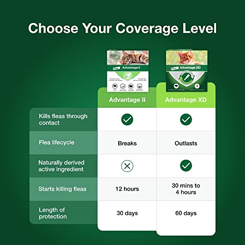 Advantage II Large Cat Vet-Recommended Flea Treatment & Prevention | Cats Over 9 lbs. | 12-Month Supply
