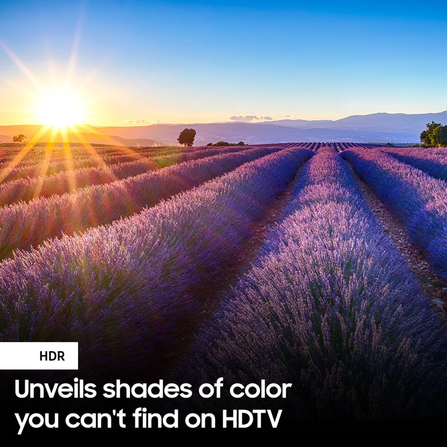 SAMSUNG 55 Class 4K Crystal UHD (2160P) LED Smart TV with HDR UN55AU8000B